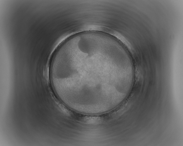 X0000112530886200908241504