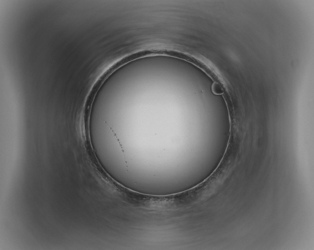 X0000112530887200908241504