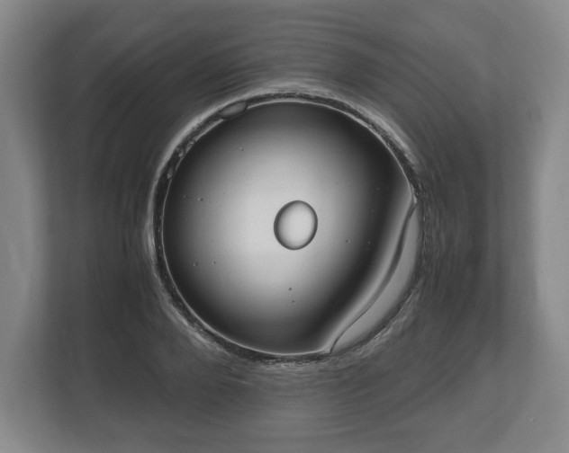 X0000112530888200908241504
