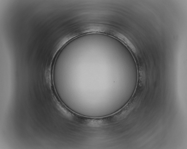 X0000112530890200908241504