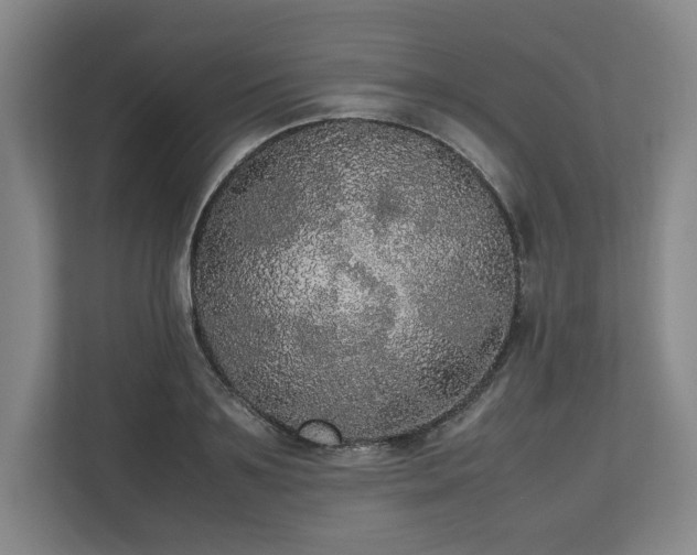 X0000112530891200908241504