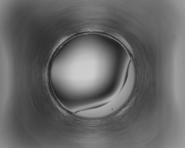 X0000112530893200908241504