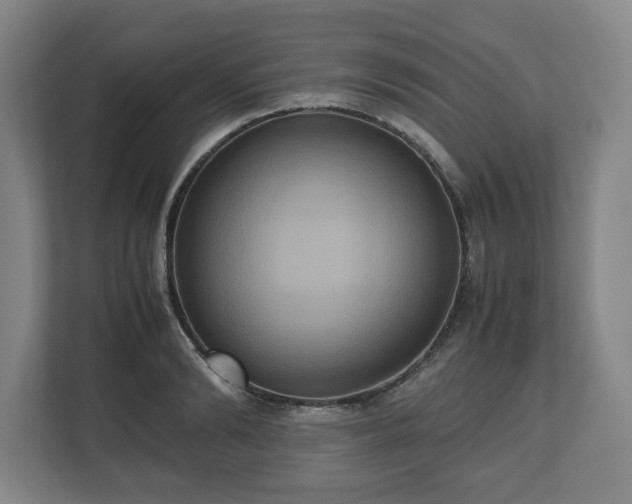 X0000112530894200908241504