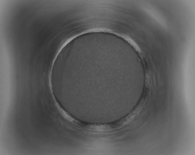 X0000112530895200908241504