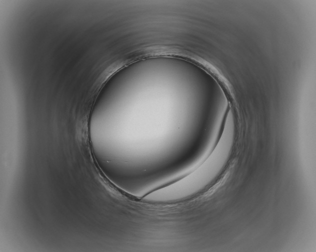 X0000112530897200908241504