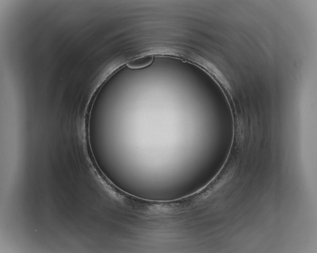 X0000112530898200908241504