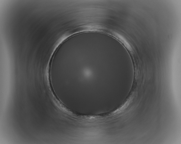 X0000112530899200908241504