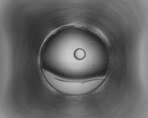 X0000112530900200908241504