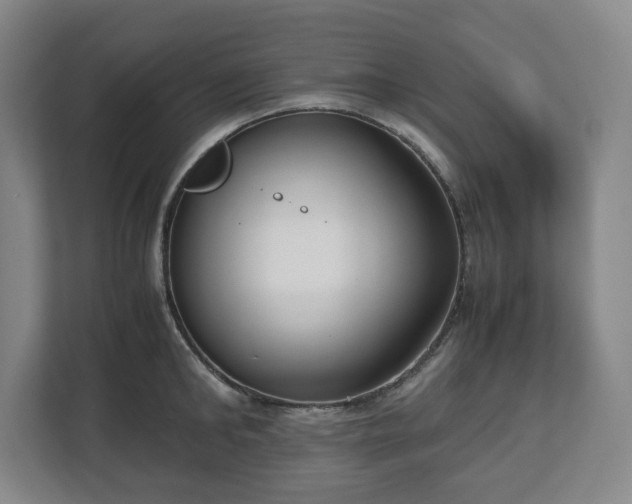 X0000112530902200908241504