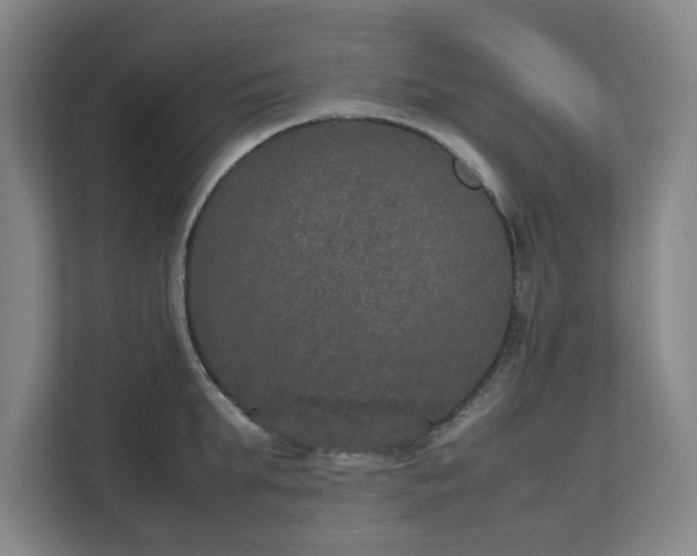 X0000112530903200908241504