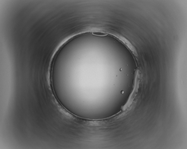 X0000112530904200908241504