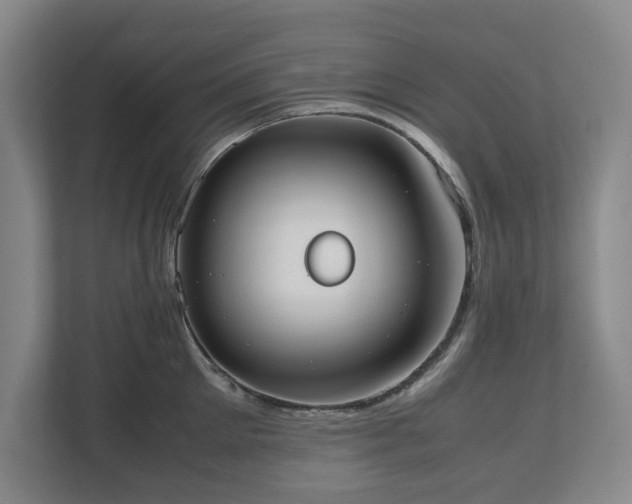 X0000112530905200908241504