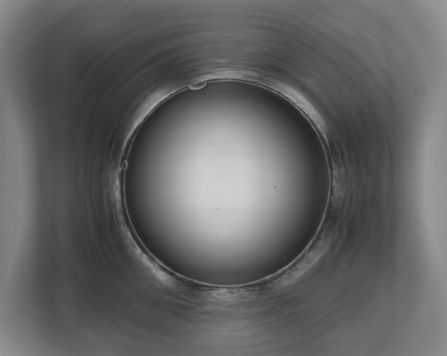 X0000112530906200908241504