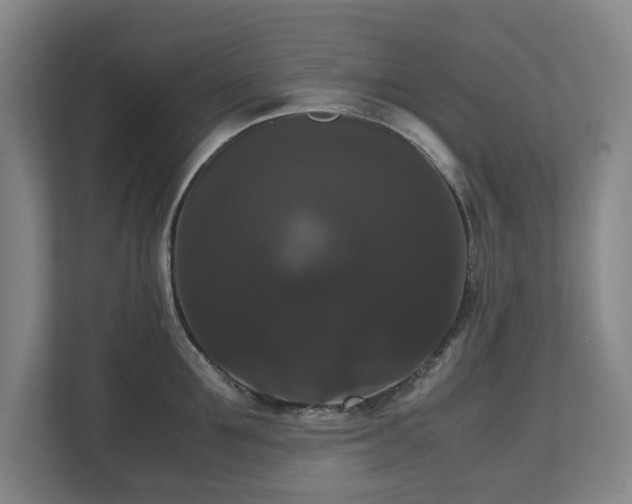 X0000112530907200908241504