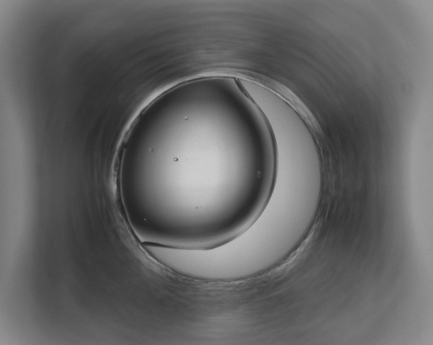 X0000112530908200908241504