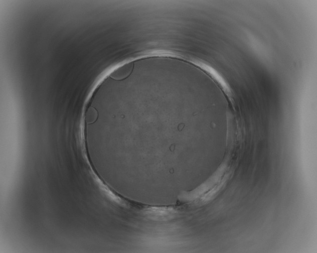 X0000112530910200908241504