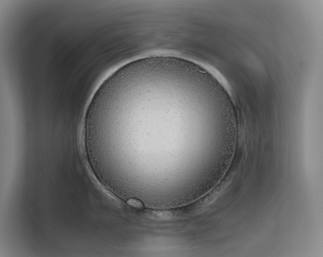 X0000112530911200908241504