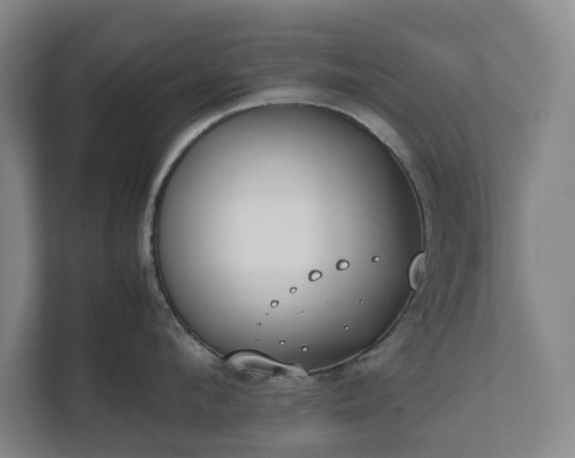 X0000112530912200908241504