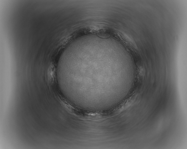 X0000112530914200908241503