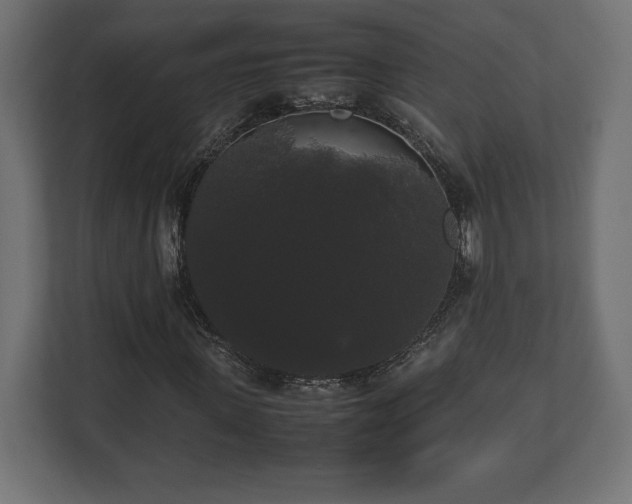 X0000112530915200908241503
