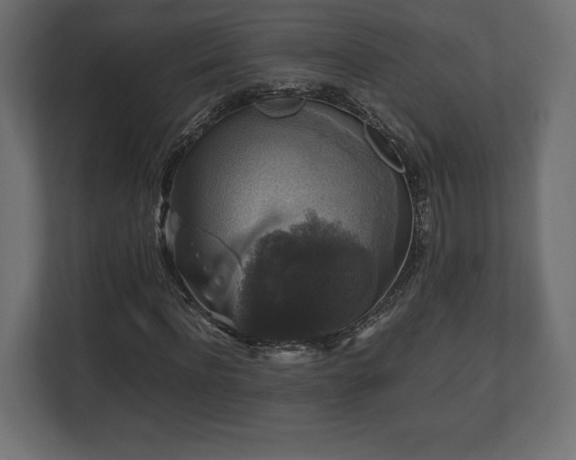 X0000112530916200908241503
