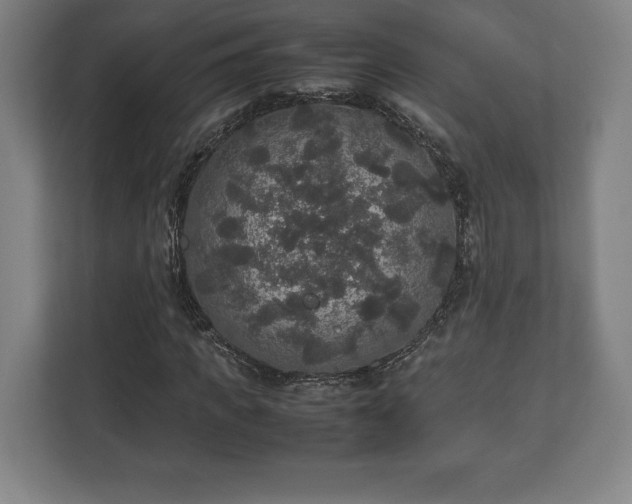 X0000112530917200908241503