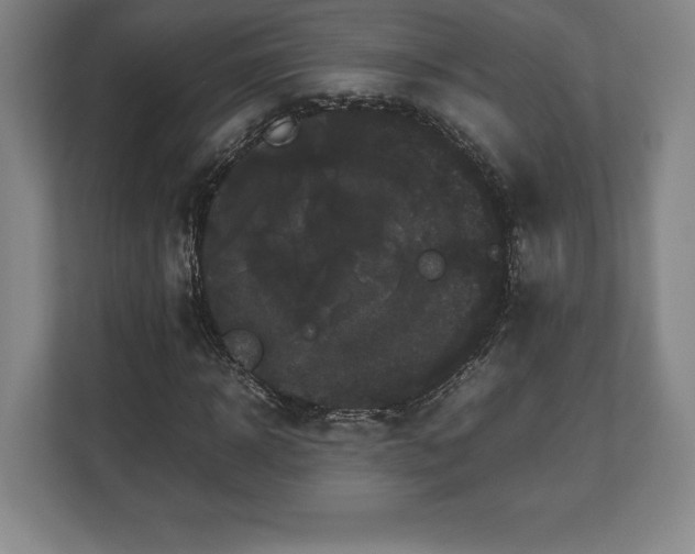 X0000112530918200908241503