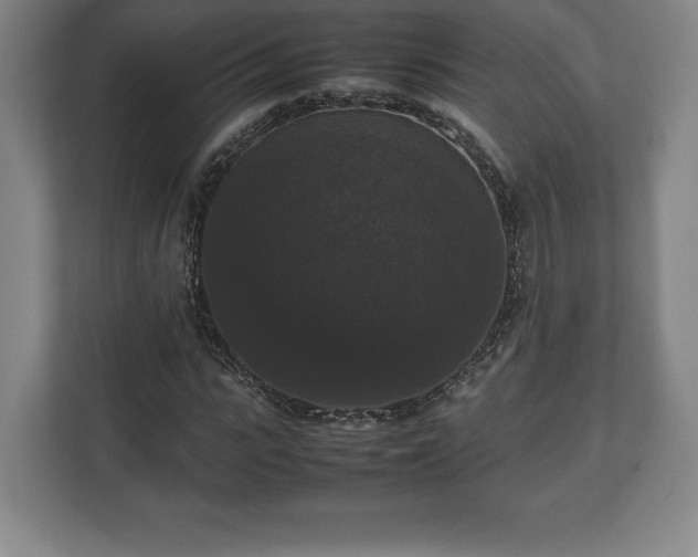 X0000112530919200908241503