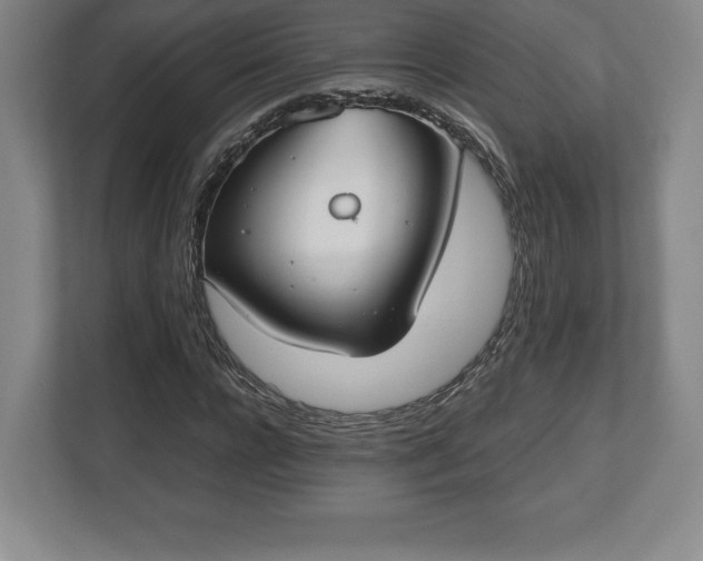 X0000112530920200908241503