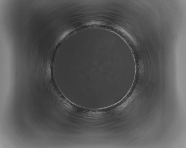 X0000112530921200908241503