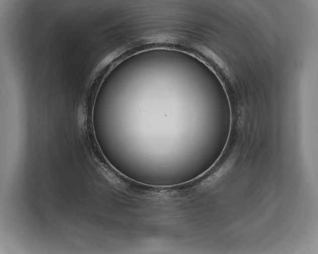 X0000112530922200908241503