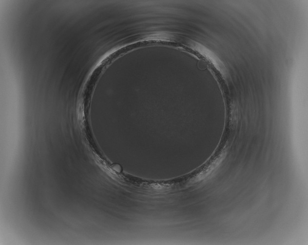 X0000112530923200908241504