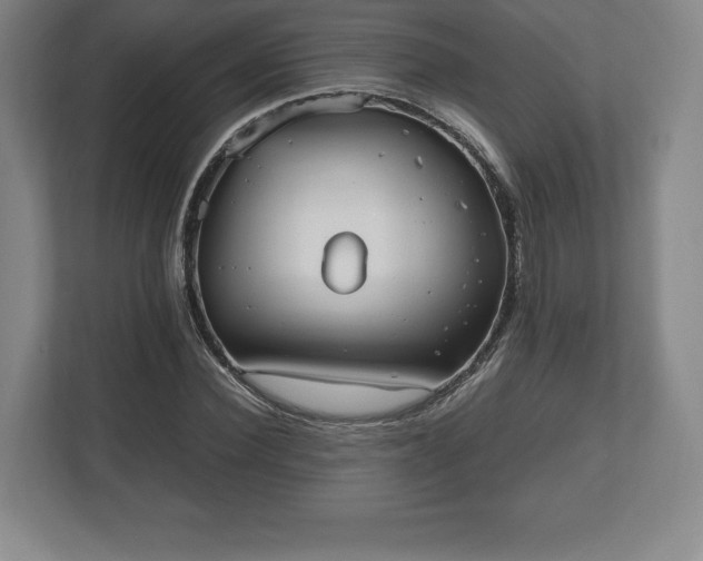 X0000112530924200908241504
