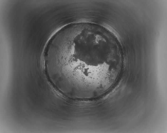 X0000112530925200908241504