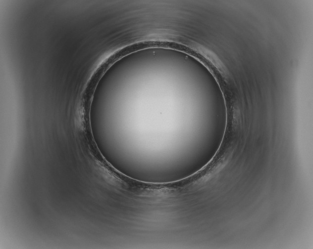 X0000112530926200908241504