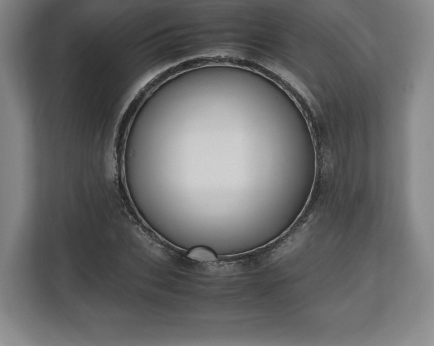 X0000112530927200908241504