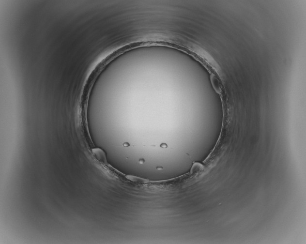 X0000112530928200908241504