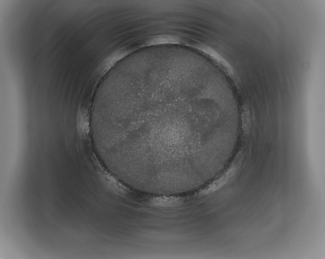 X0000112530929200908241504