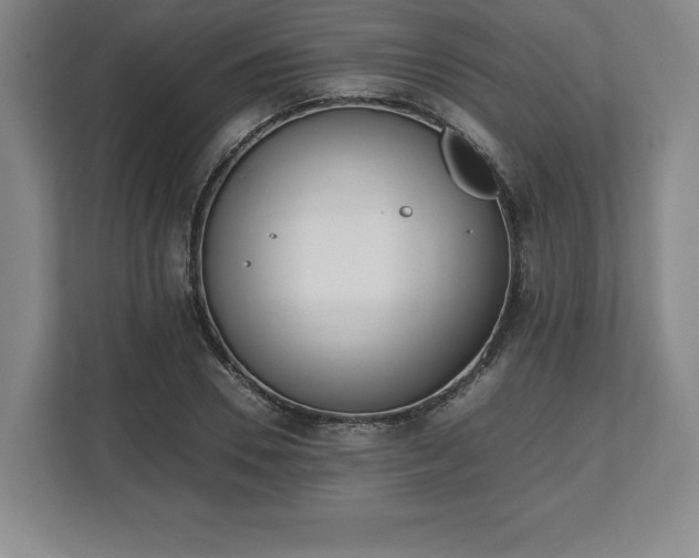 X0000112530930200908241504