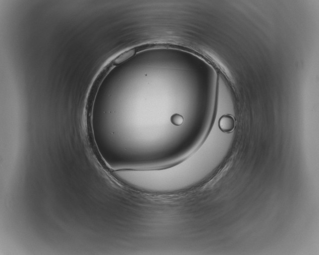 X0000112530932200908241504