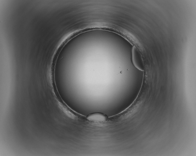 X0000112530942200908241504