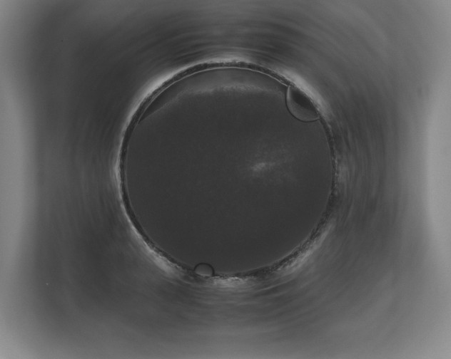 X0000112530943200908241504
