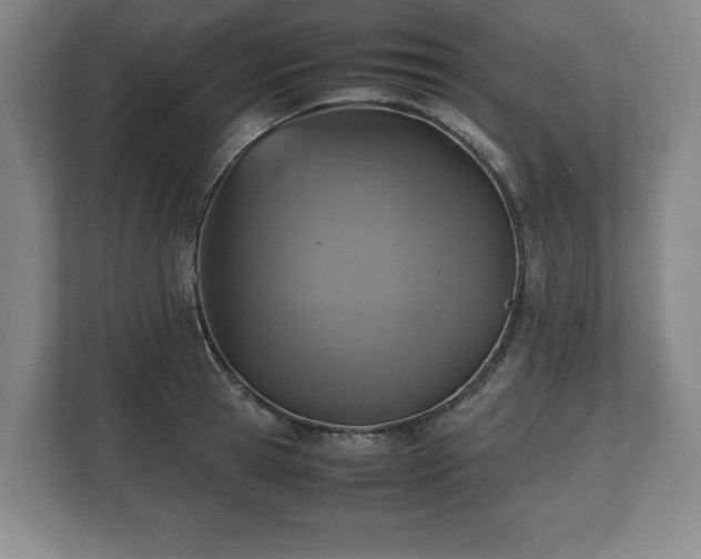 X0000112530945200908241504