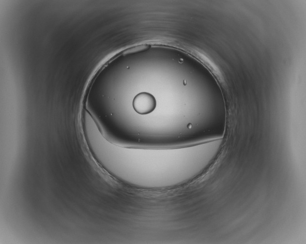 X0000112530948200908241504