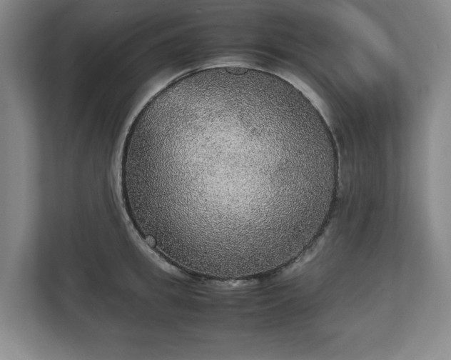 X0000112530949200908241504
