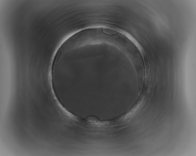 X0000112530951200908241504