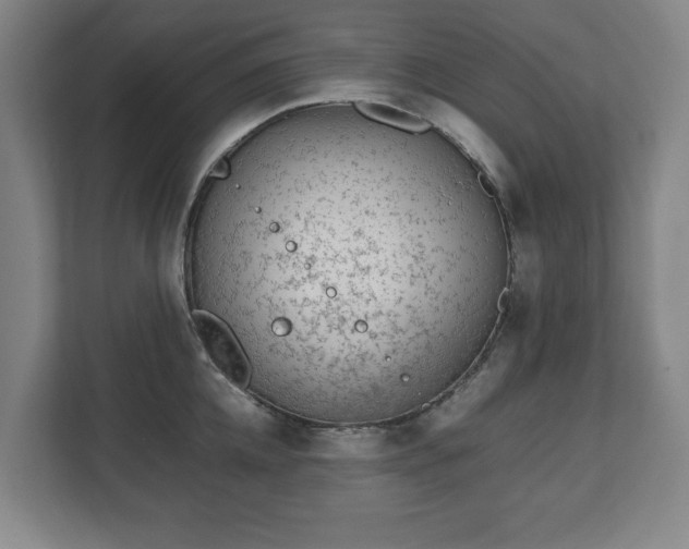 X0000112530952200908241504