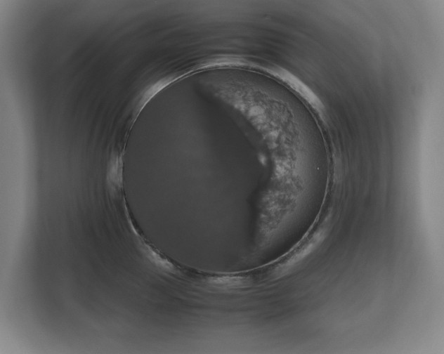 X0000112530953200908241504