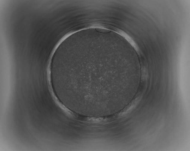 X0000112530955200908241504