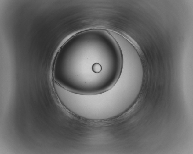 X0000112530956200908241504